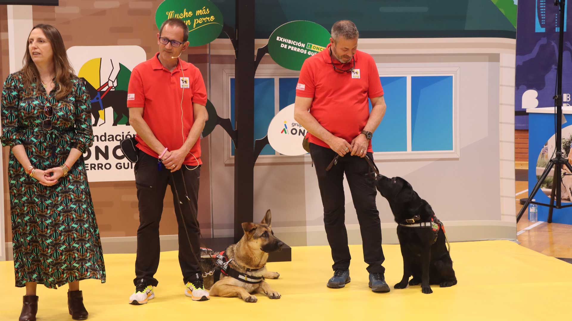 Benidorm acoge una exhibición de perros guía de la ONCE