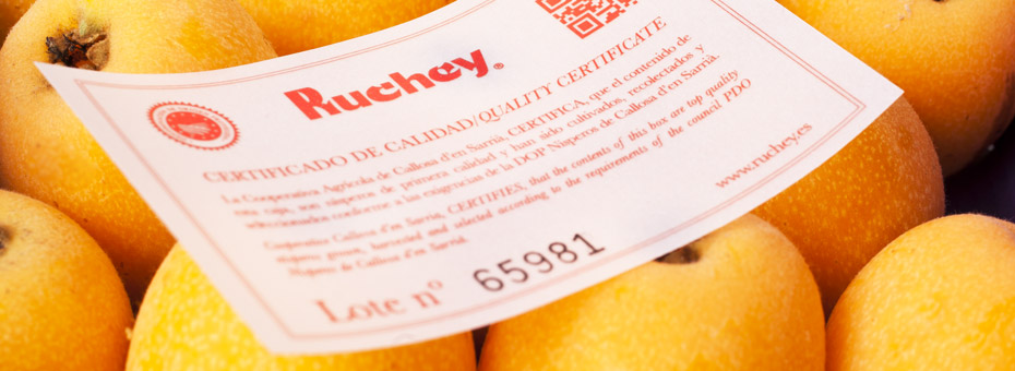 La Marina Baixa afronta la campaña del níspero con buena calidad pero presión por los costes