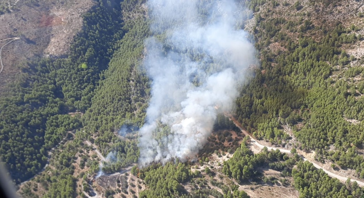 Los bomberos dan por controlado el incendio forestal de Beniardà