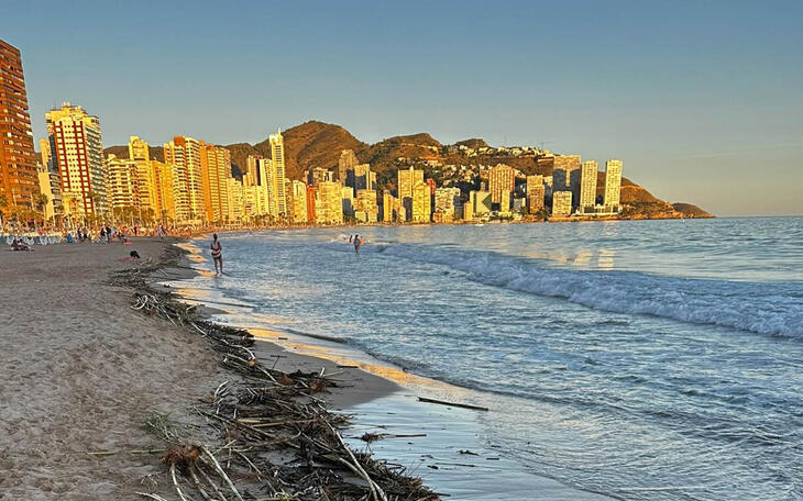 Llegan a la playa de Benidorm cañas y restos vegetales de la DANA Adam